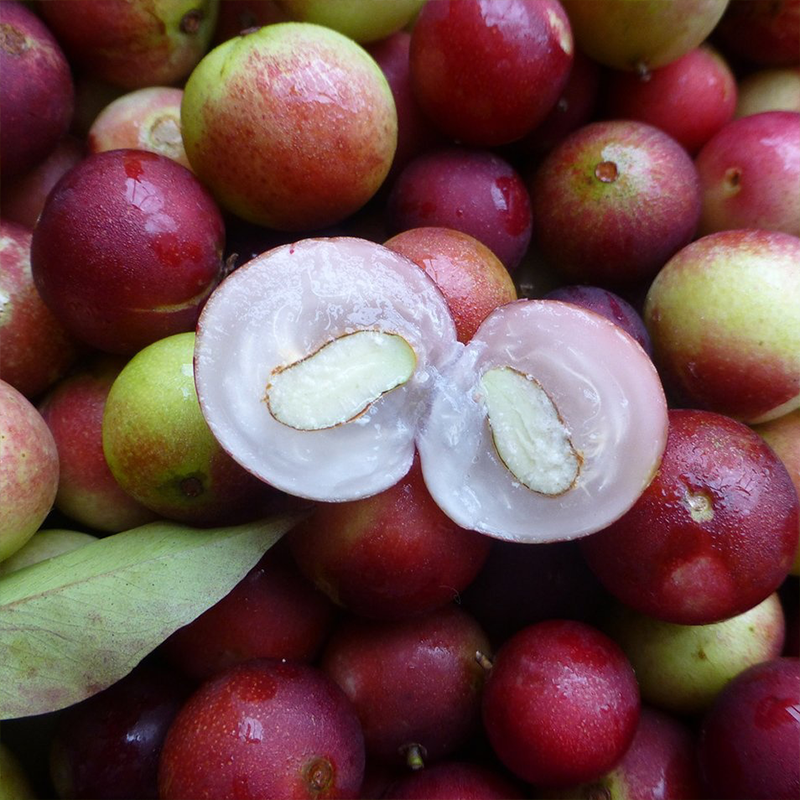 The Benefits Of Camu Camu For Your Skin Skintherapymd